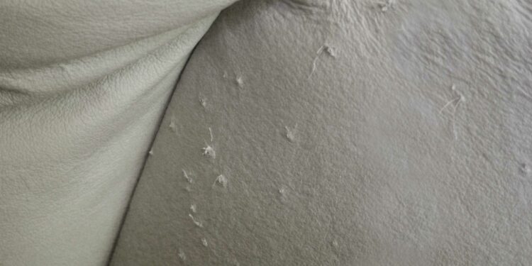 Comment réparer un accroc dans le cuir ?