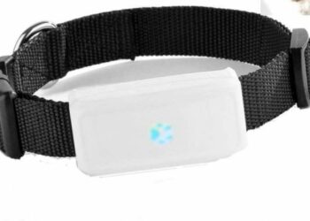 Comment retrouver son chien grâce à sa puce ?