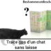 Comment retrouver un chat perdu avec une puce ?
