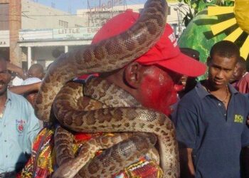 Comment s'appelle la personne qui s'occupe des serpents ?