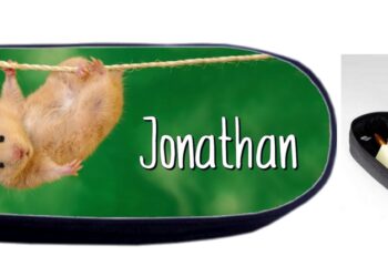 Comment s'appelle le bébé d'un hamster ?