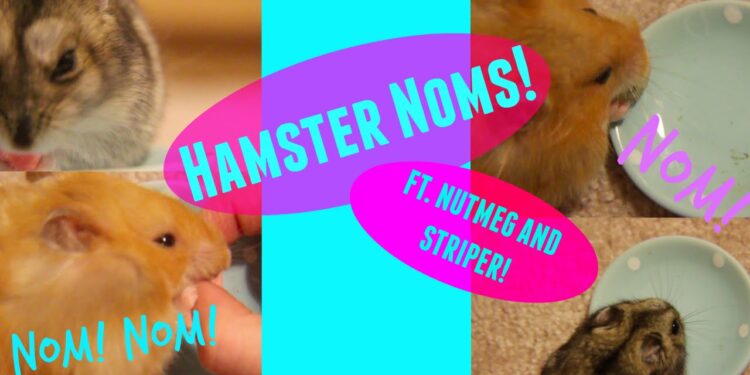 Comment s'appelle le bébé d'un hamster ?
