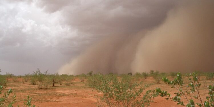 Comment s'appelle le sable du Sahara ?