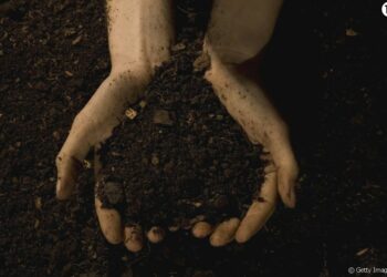 Comment s'appelle les gens qui mange tout ?