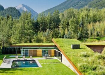 Comment s'appellent les trous dans les pigeonniers ?