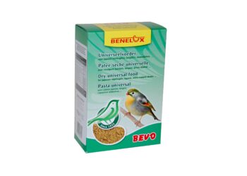 Comment sauver un bébé oiseau ?