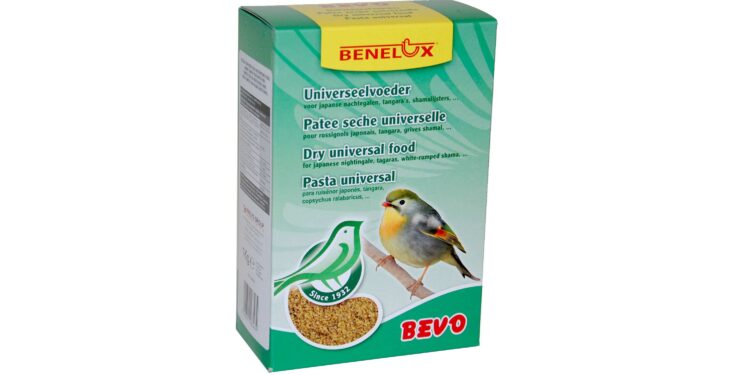 Comment sauver un bébé oiseau ?