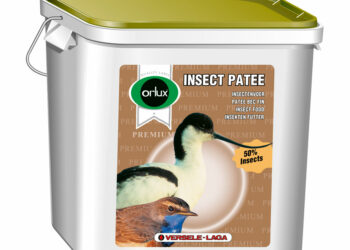 Comment sauver un bébé oiseau ?