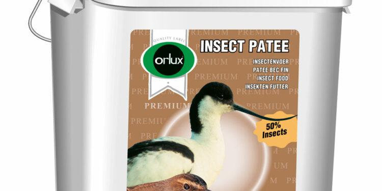 Comment sauver un bébé oiseau ?