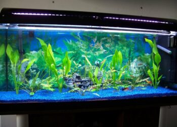 Comment savoir quel néon acheter ?