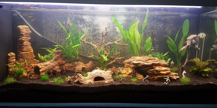 Comment savoir si il y a un pic de nitrite ?