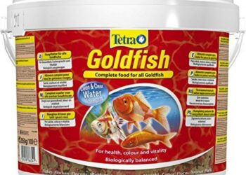 Comment savoir si je donne assez à manger à mes poissons ?