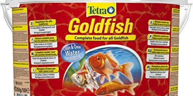 Comment savoir si je donne assez à manger à mes poissons ?