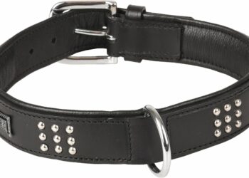 Comment savoir si le collier de mon chien est trop petit ?