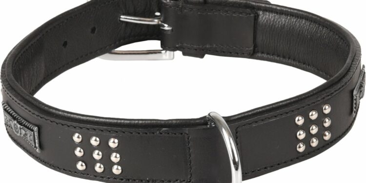 Comment savoir si le collier de mon chien est trop petit ?