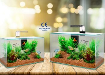 Comment savoir si le filtre de mon aquarium fonctionne bien ?