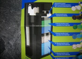 Comment savoir si le filtre de mon aquarium fonctionne bien ?