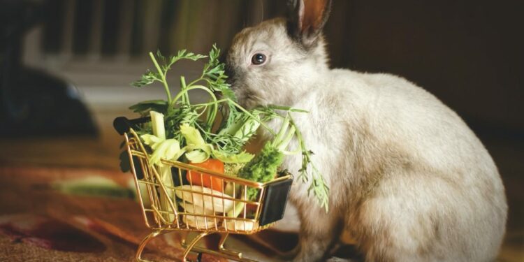 Comment savoir si le lapin est heureux ?
