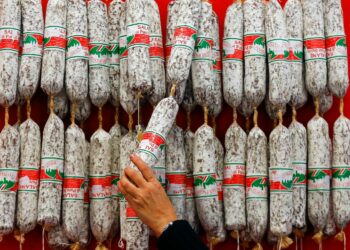 Comment savoir si le pic de nitrite est passé aquarium ?