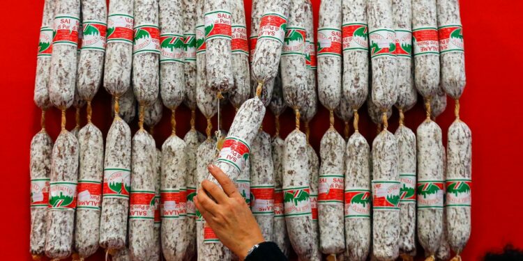 Comment savoir si le pic de nitrite est passé aquarium ?