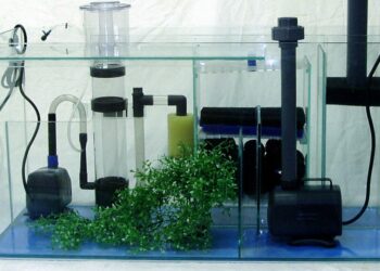 Comment savoir si l'eau de l'aquarium est bon ?