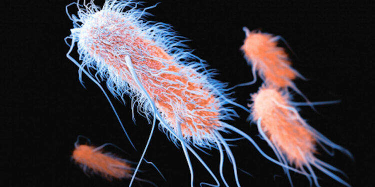 Comment savoir si l'eau de l'aquarium est bon ?