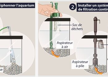 Comment savoir si l'eau de l'aquarium est bon ?