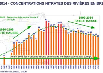 Comment savoir si l'eau de l'aquarium est prête ?