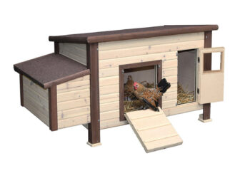 Comment savoir si les poules ont froid ?