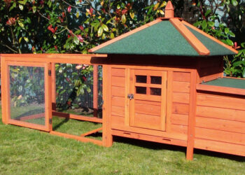 Comment savoir si les poules ont froid ?