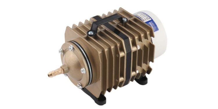 Comment savoir si mon aquarium est bien oxygène ?