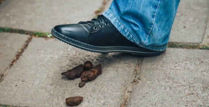 Comment savoir si mon chien a des vers ?