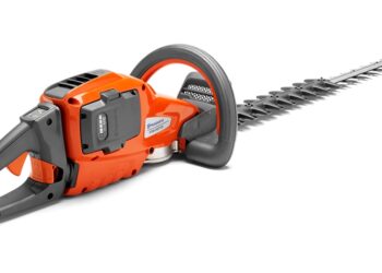 Comment savoir si mon chiot va encore grandir ?