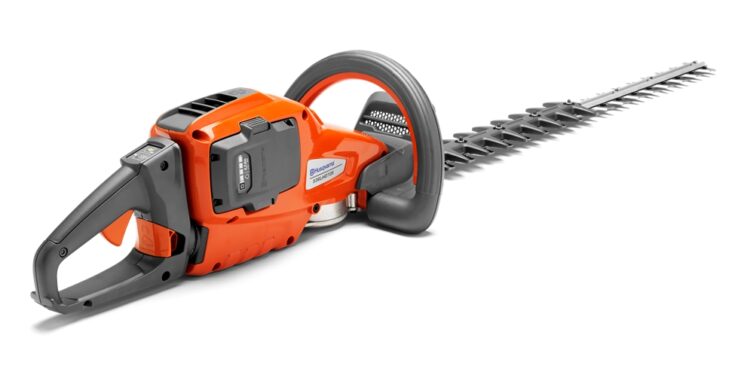 Comment savoir si mon chiot va encore grandir ?