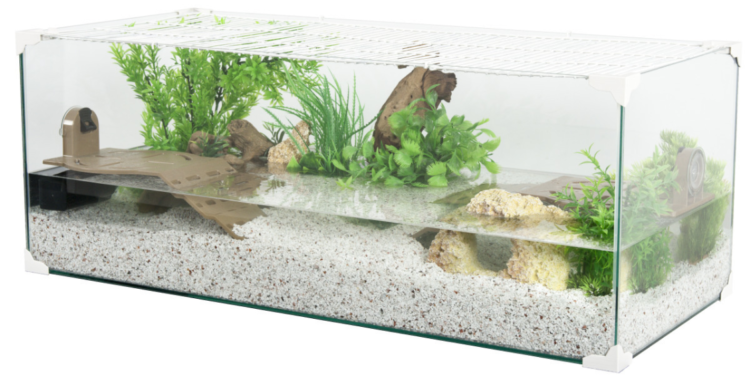 Comment savoir si mon terrarium a besoin d'eau ?