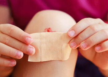 Comment savoir si son inséparable est heureux ?