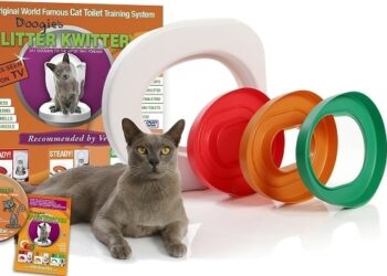 Comment savoir si un chat doit faire ses besoins ?