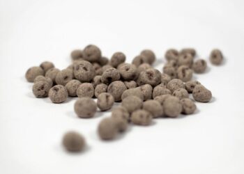 Comment savoir si un chien a une infection urinaire ?