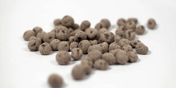 Comment savoir si un chien a une infection urinaire ?