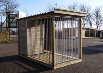 Comment savoir si un chien est malheureux ?