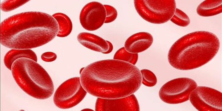 Comment savoir si un combattant dort ?