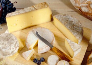 Comment savoir si un hamster est triste ?