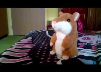 Comment savoir si un hamster est triste ?