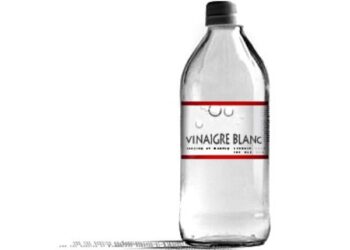 Comment savoir si un oiseau a des poux ?