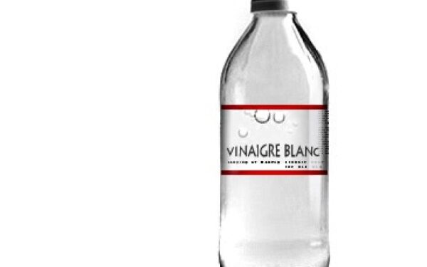 Comment savoir si un oiseau a des poux ?