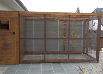 Comment savoir si un oiseau à froid ?