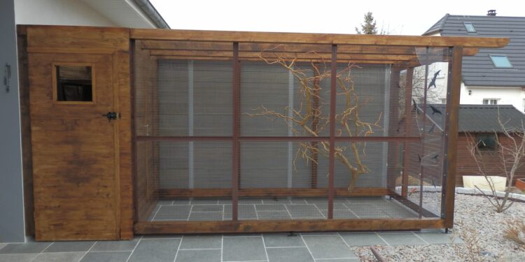 Comment savoir si un oiseau à froid ?