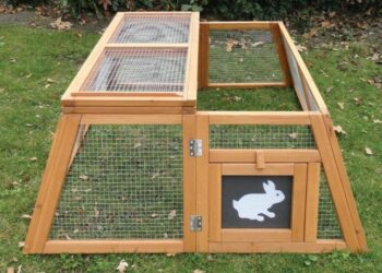 Comment savoir si un poussin à froid ?