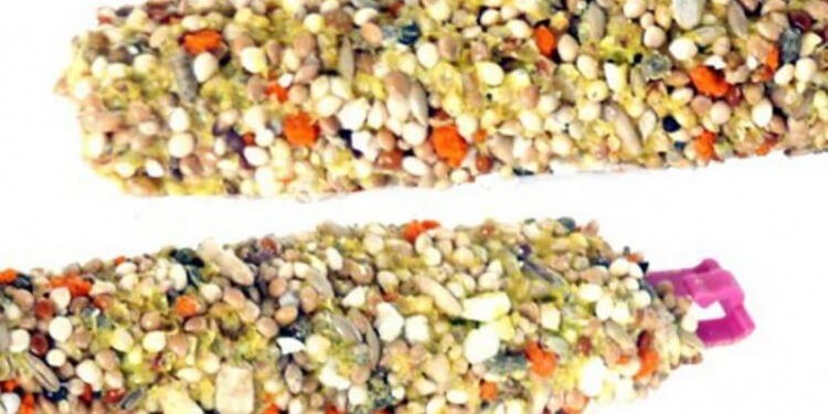 Comment savoir si une perruche est heureuse ?