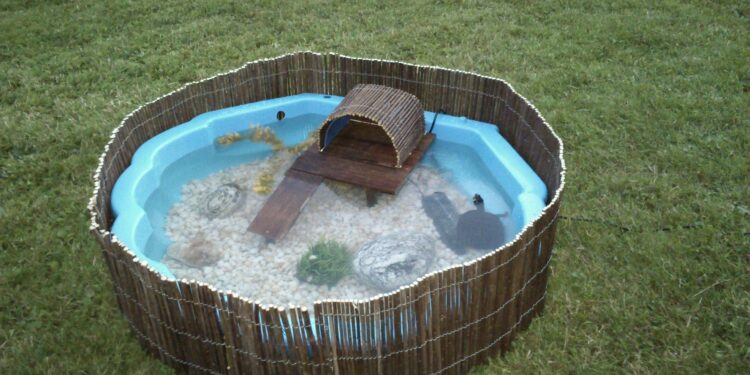 Comment savoir si une tortue d'eau à froid ?